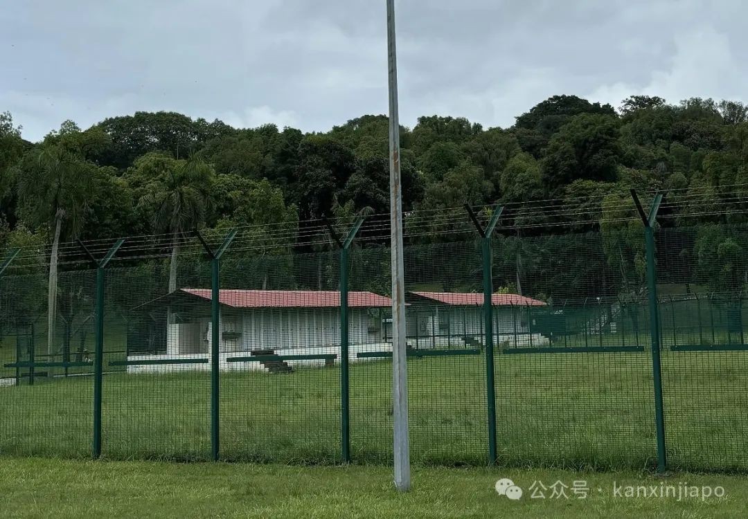 游览了新加坡的圣约翰岛，才知道这里原来是难民营和监狱