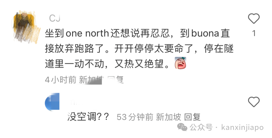 新加坡中秋夜狂风暴雨突袭！地铁瘫痪，树倒车砸，人员受伤，全岛一片混乱...