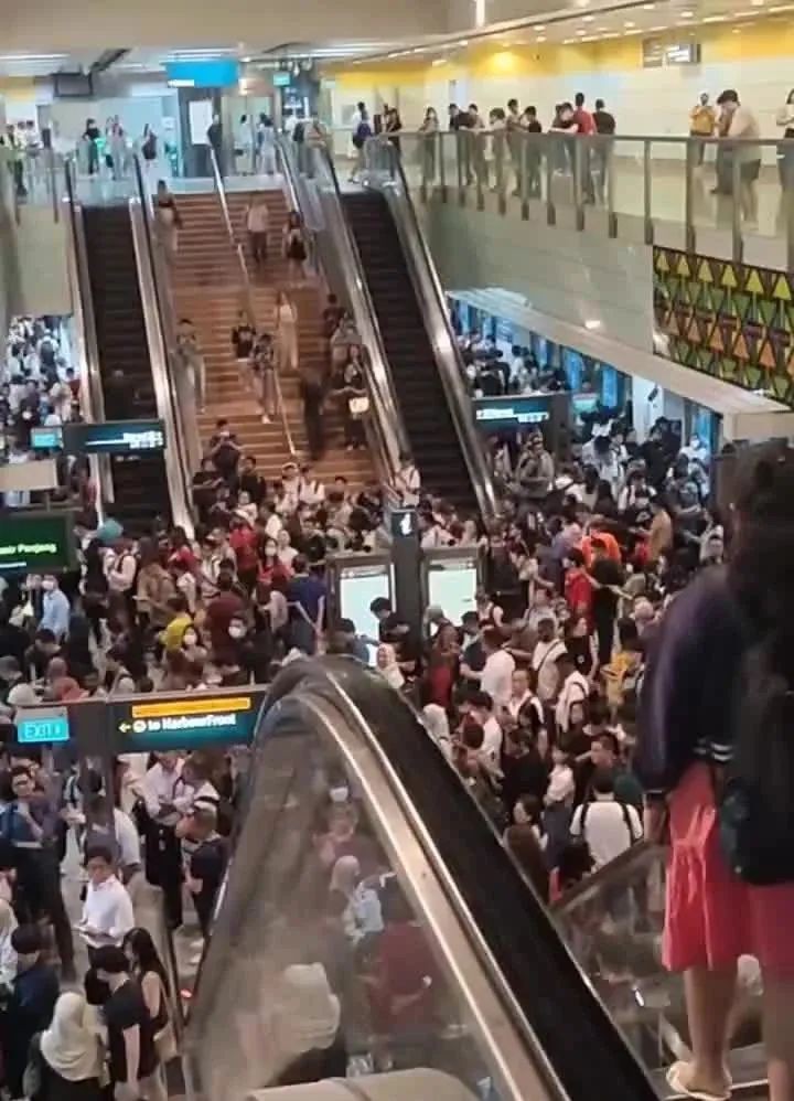 新加坡中秋夜狂风暴雨突袭！地铁瘫痪，树倒车砸，人员受伤，全岛一片混乱...