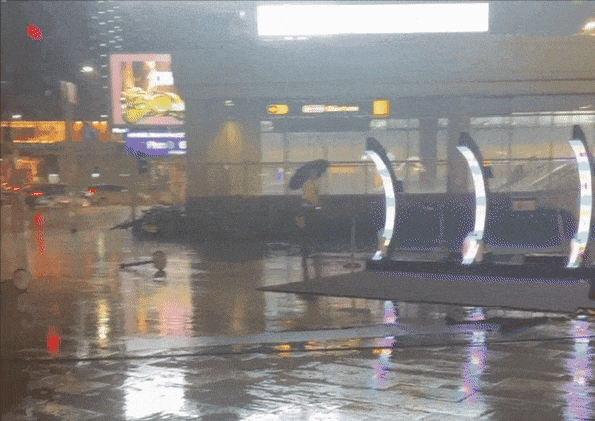 新加坡中秋夜狂风暴雨突袭!地铁瘫痪,树倒车砸,人员受伤,全岛一片混乱...