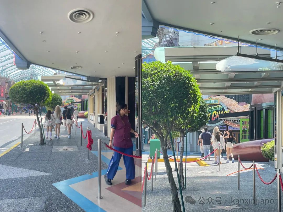 王思聪新加坡游记:换女友,赌博,光膀子拒绝拍照频上热搜,独炫“顶级”炒粿条