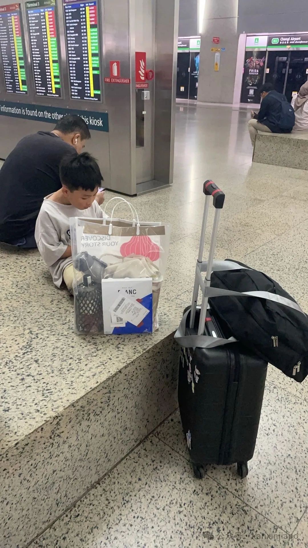 空中旅人，中新“候鸟族”的迁徙生活