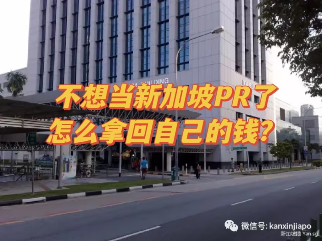“不想当新加坡PR了,怎么从政府那里拿走我的钱?”