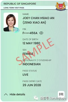 最新政策!新加坡这类准证就业要求放宽!部分工种不限于公民、PR