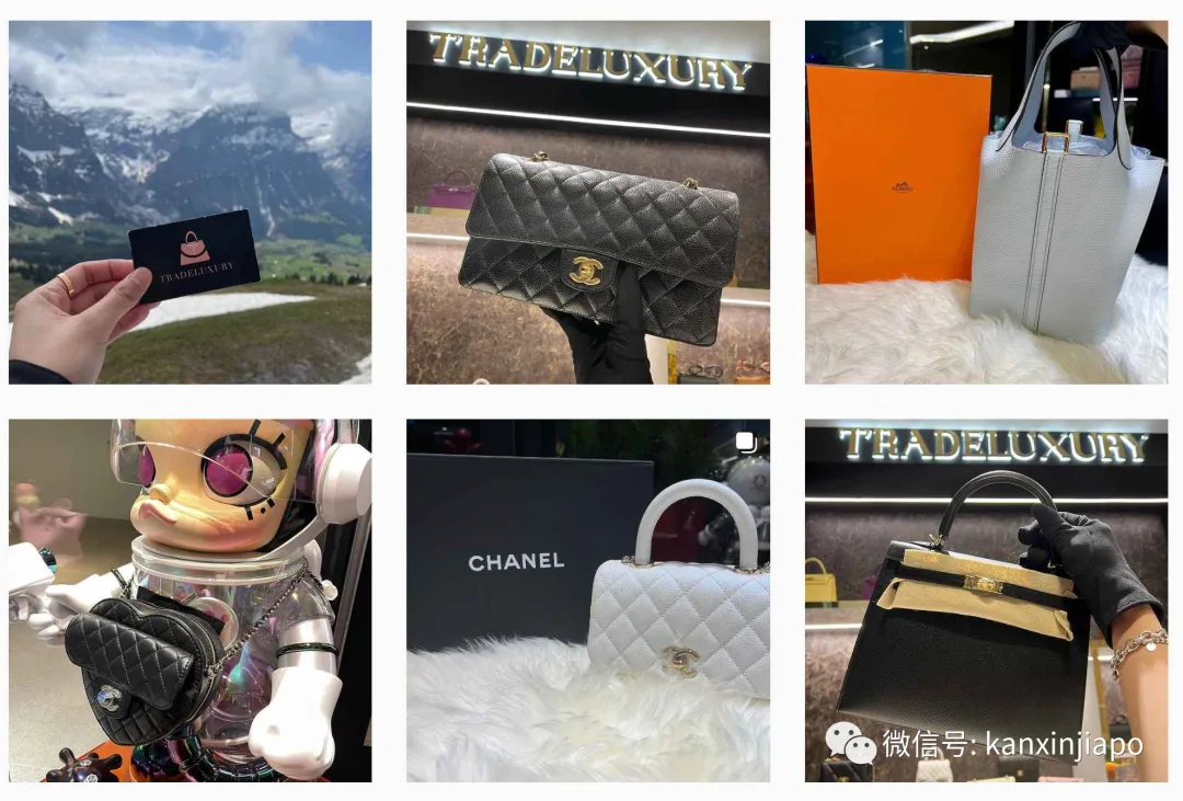 新加坡夫妇代购案”妻子认罪！骗取5000万新币，乘坐私人飞机、购买跑车