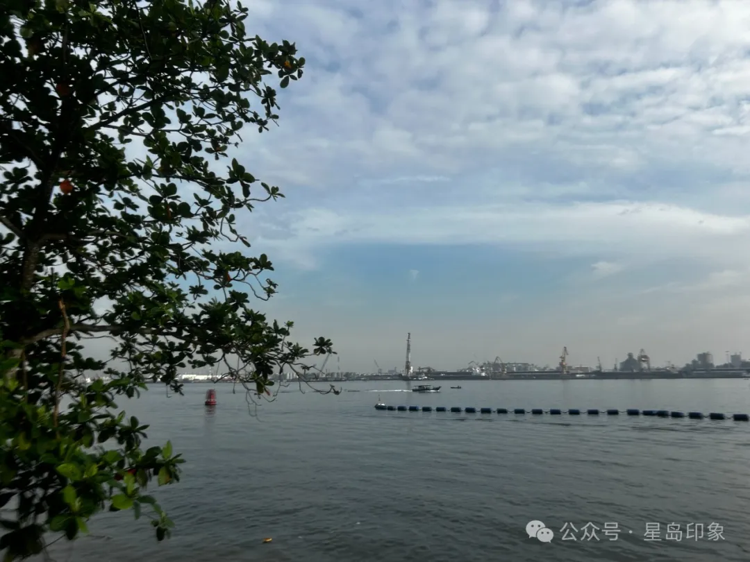 从东海岸到巴西立，新加坡菜鸟骑行者的环岛路线