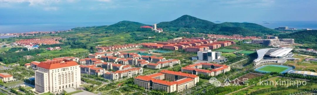 跨国教育桥梁：山东大学与新加坡的深度合作揭秘！