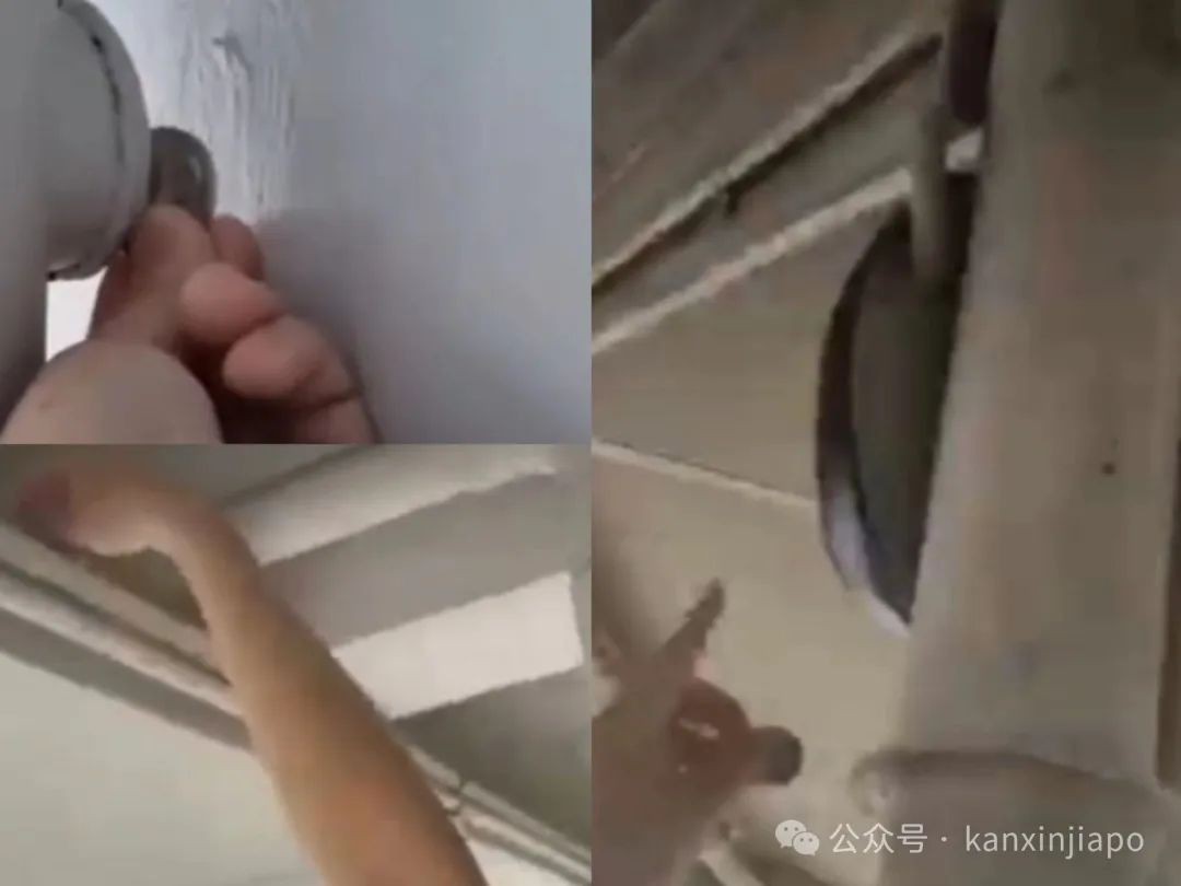 最高100万新币！一夜暴富机会来了，新加坡史上最大寻宝游戏