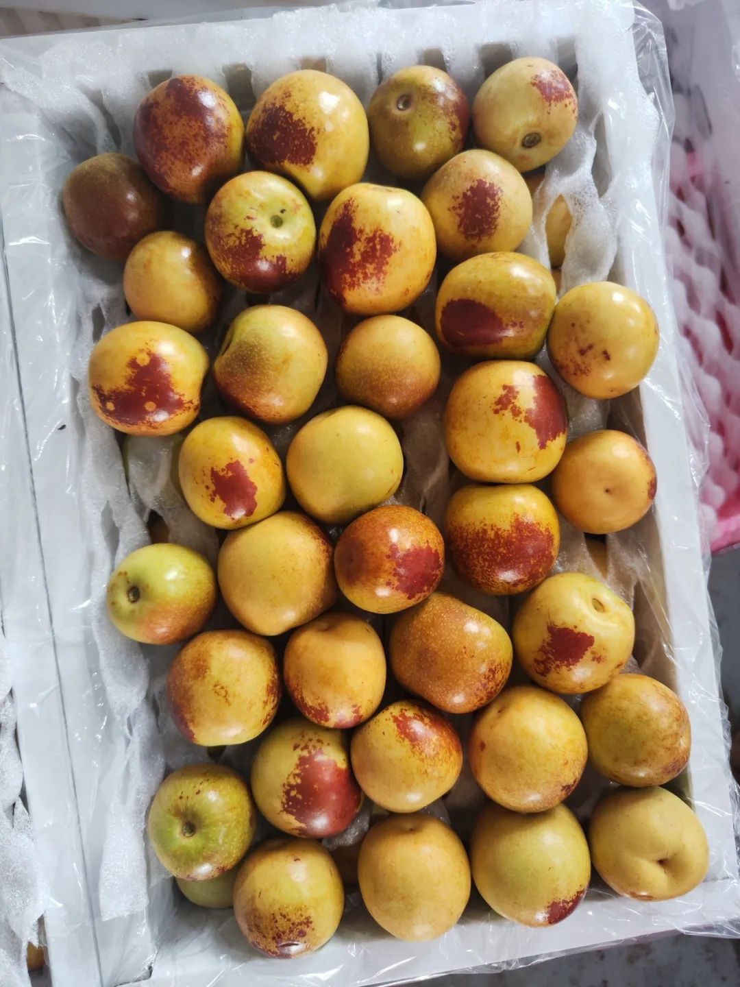今年第一批冬枣,已经抵达新加坡,FairPrice超市见
