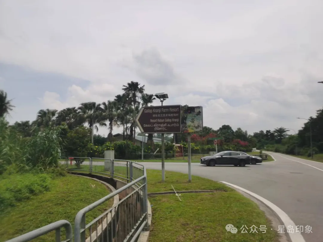 从东海岸到巴西立，新加坡菜鸟骑行者的环岛路线