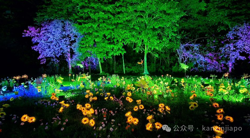 【下周活动】药师寺宽邦演唱会、屠妖节活动、英国朋友圈下午茶小聚、观展2025 CES都在这里