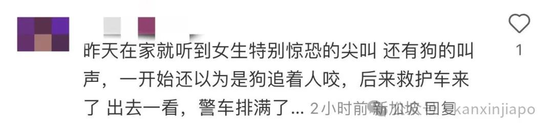 新加坡一组屋发生命案,疑凶捅死邻居后持刀追其妻子!部长探望,为死者家属发声