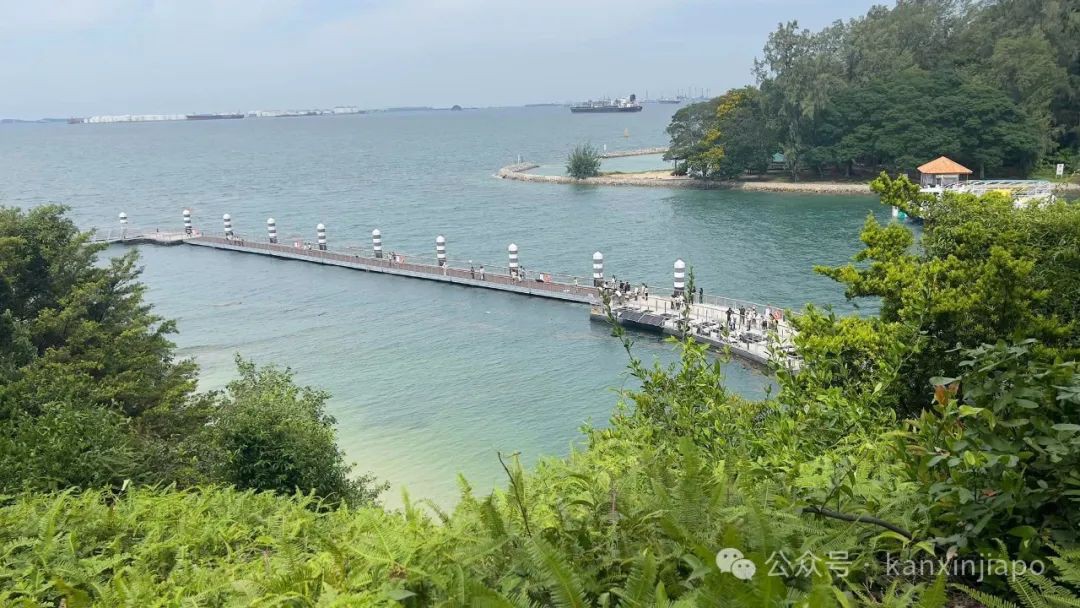 等了三年!新加坡姐妹岛海洋生态园全新回归