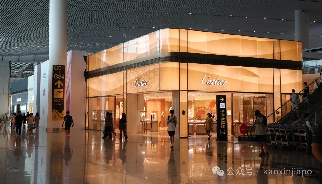 “我从新加坡回中国时，是这样在上海住到免费星级酒店的”