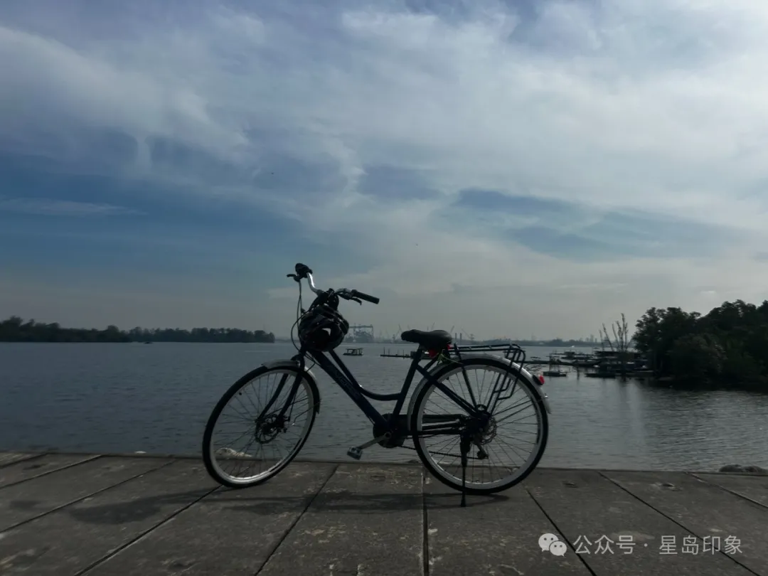 从东海岸到巴西立，新加坡菜鸟骑行者的环岛路线