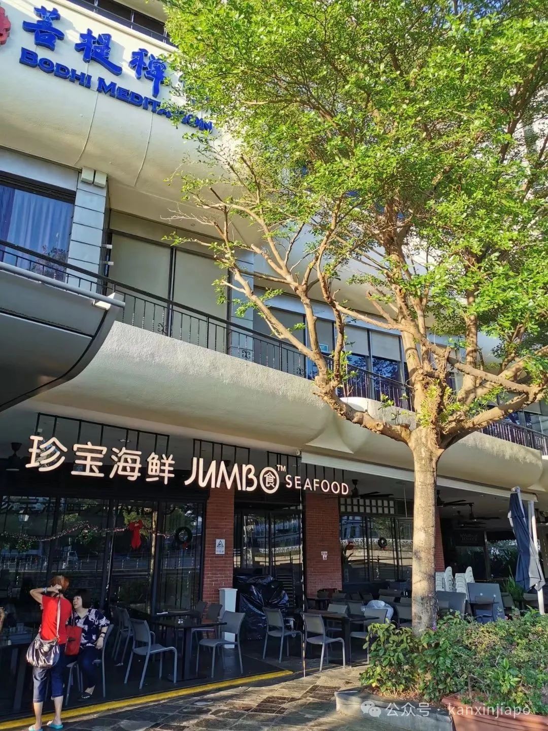 “对新加坡的印象还在5年前,组屋、东海岸、植物园都让人惊叹”