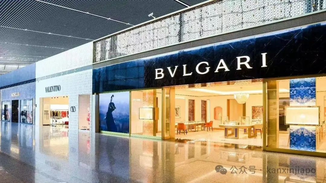 “我从新加坡回中国时，是这样在上海住到免费星级酒店的”