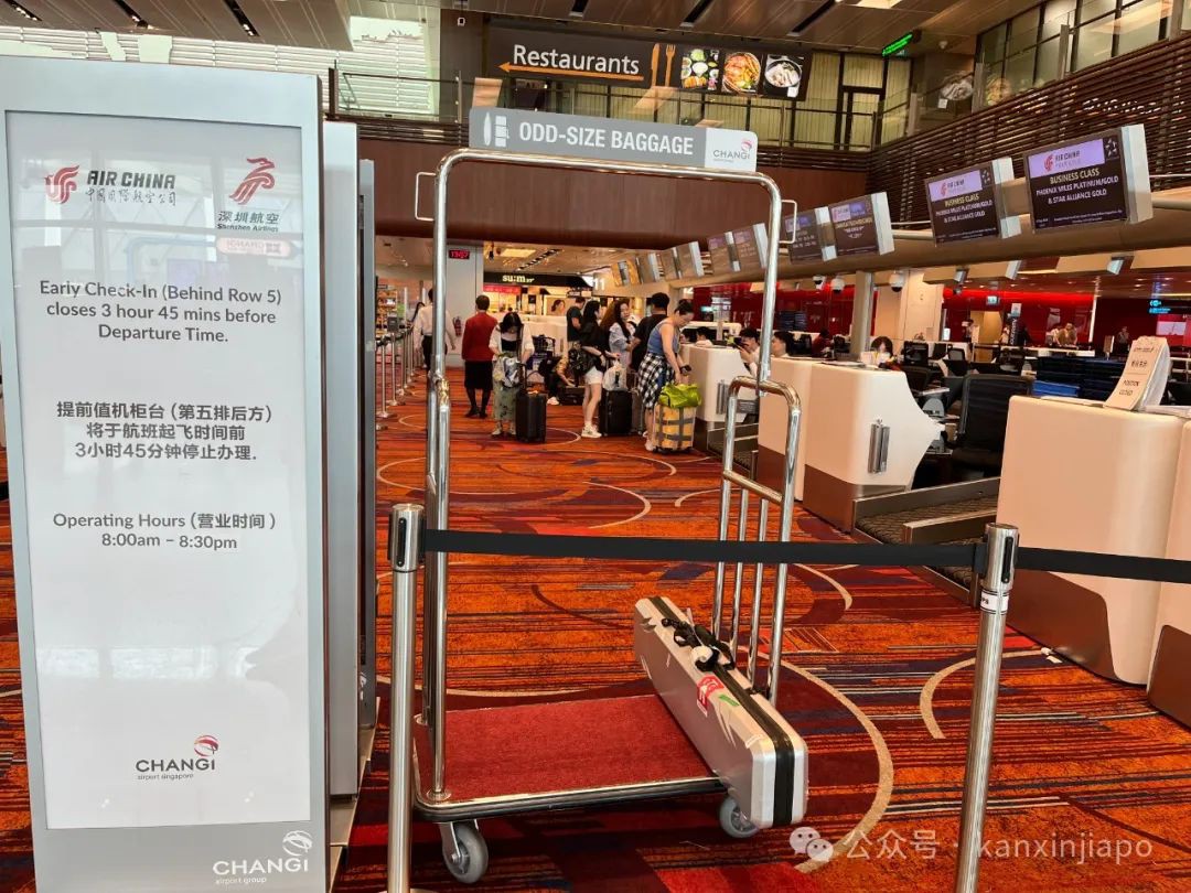 新加坡旅行必读,行李携带与特殊物品托运的隐藏规则!