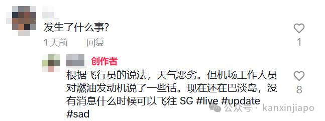 飞往新加坡航班中途备降巴淡岛近2个小时,网友支招“坐船回来更快”