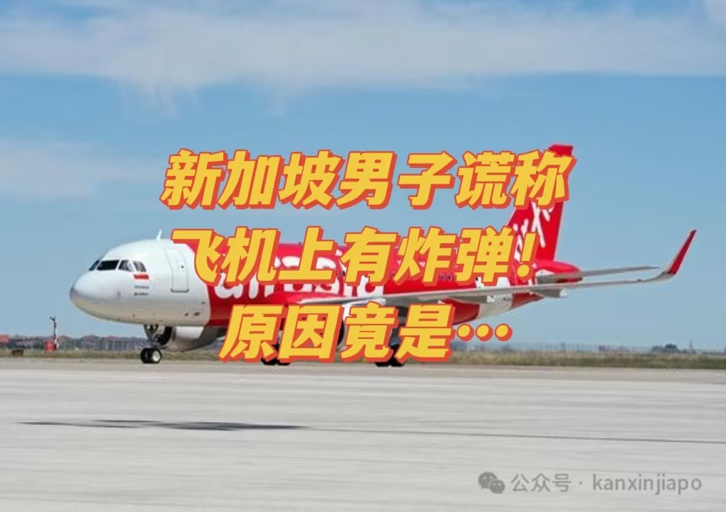 新加坡谎称飞机上有炸弹,后果很严重