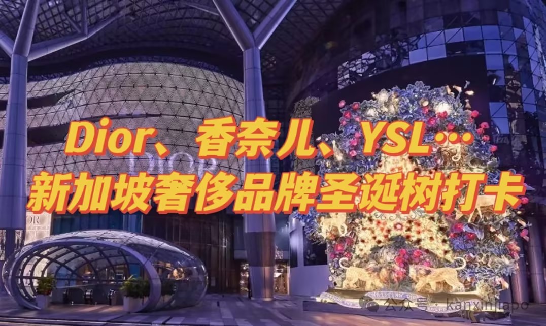 Dior、香奈儿、YSL… 来新加坡打卡奢侈品牌的圣诞树