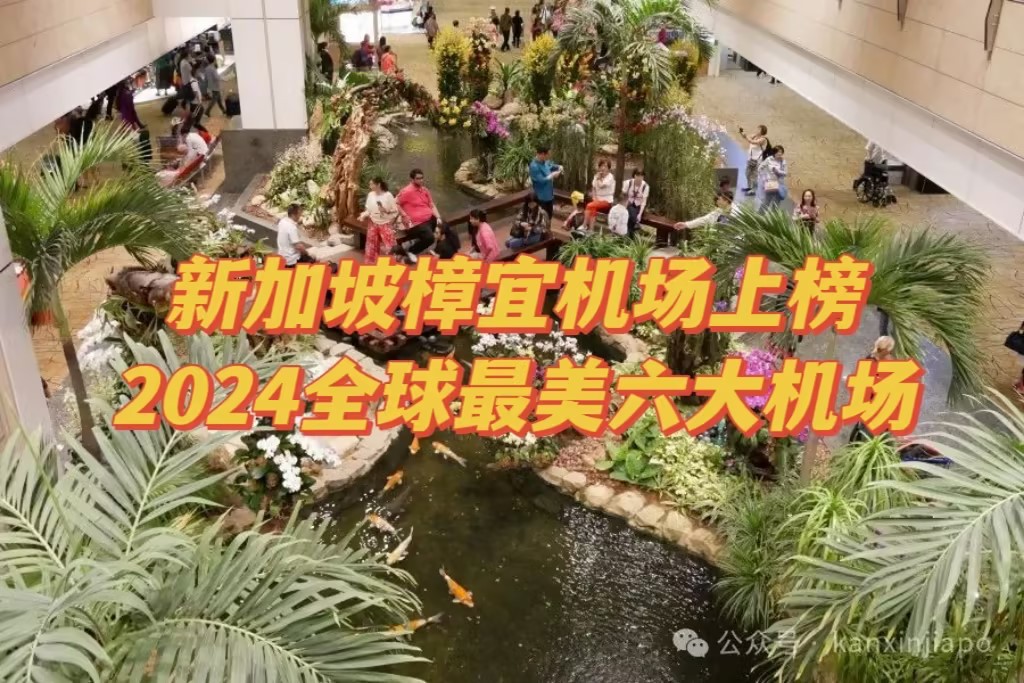 新加坡樟宜机场上榜2024全球最美六大机场!