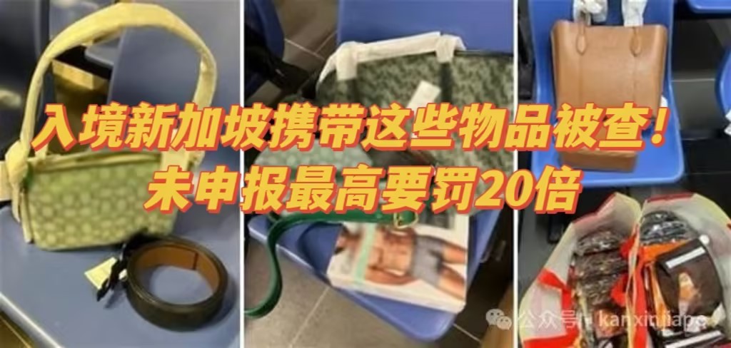 入境新加坡携带奢侈品、首饰、香烟最容易被查!未申报缴税物品最高要罚20倍