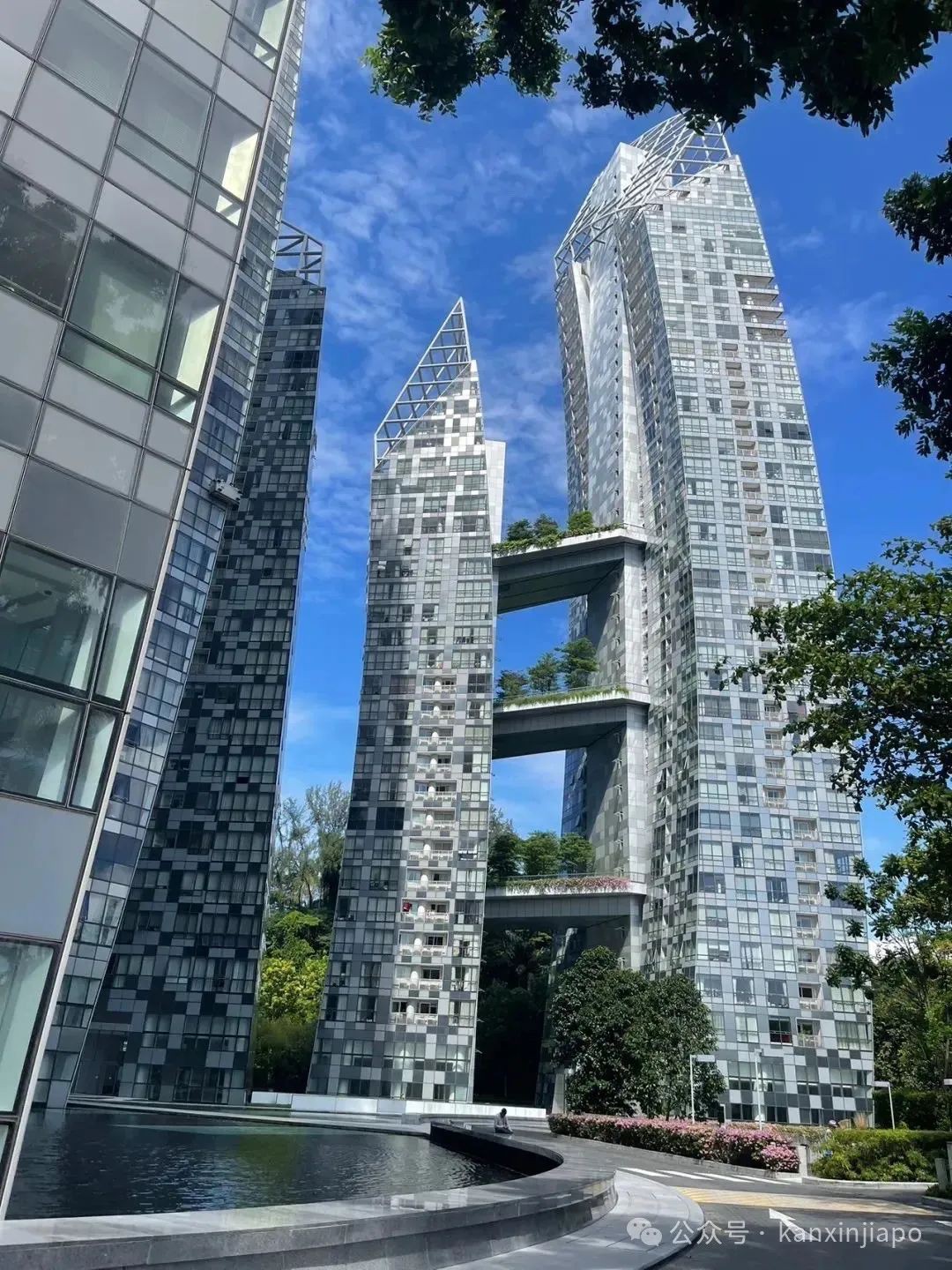 在新加坡兼职做家教后才发现,家长这么重视华文教育
