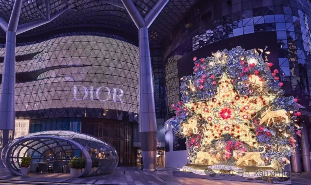 Dior、香奈儿、YSL... 来新加坡打卡奢侈品牌的圣诞树