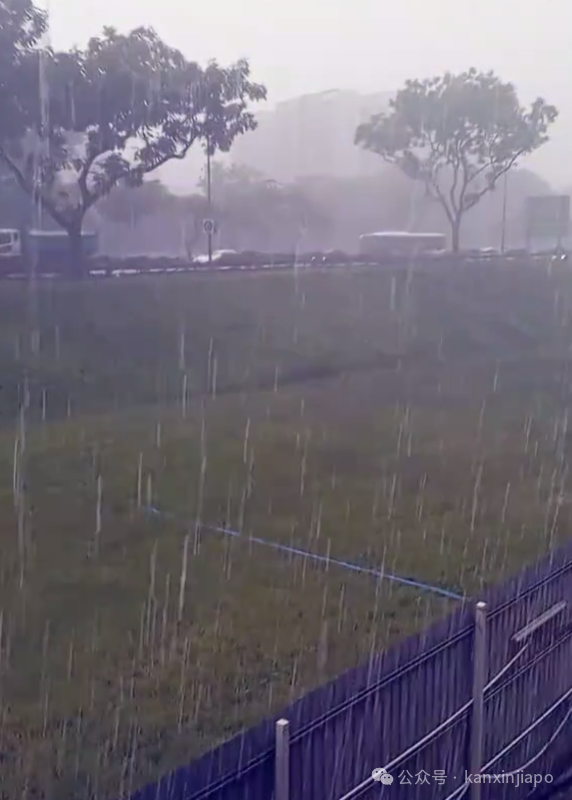 新加坡降雨量创46年新高,多地淹水!接下来两周雷雨将更加频繁
