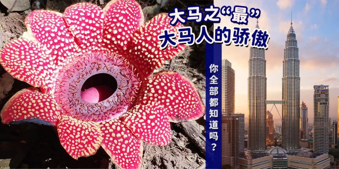 大马之“最”，这些大马人的骄傲，你都知道嘛？