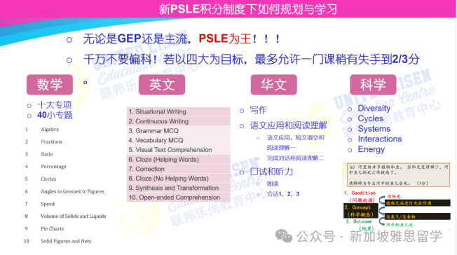 PSLE分值明年大改革!洞悉趋势,助力2025备考之路