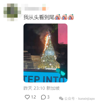 突发！乌节路上圣诞树起火，火势凶猛！现场图曝光