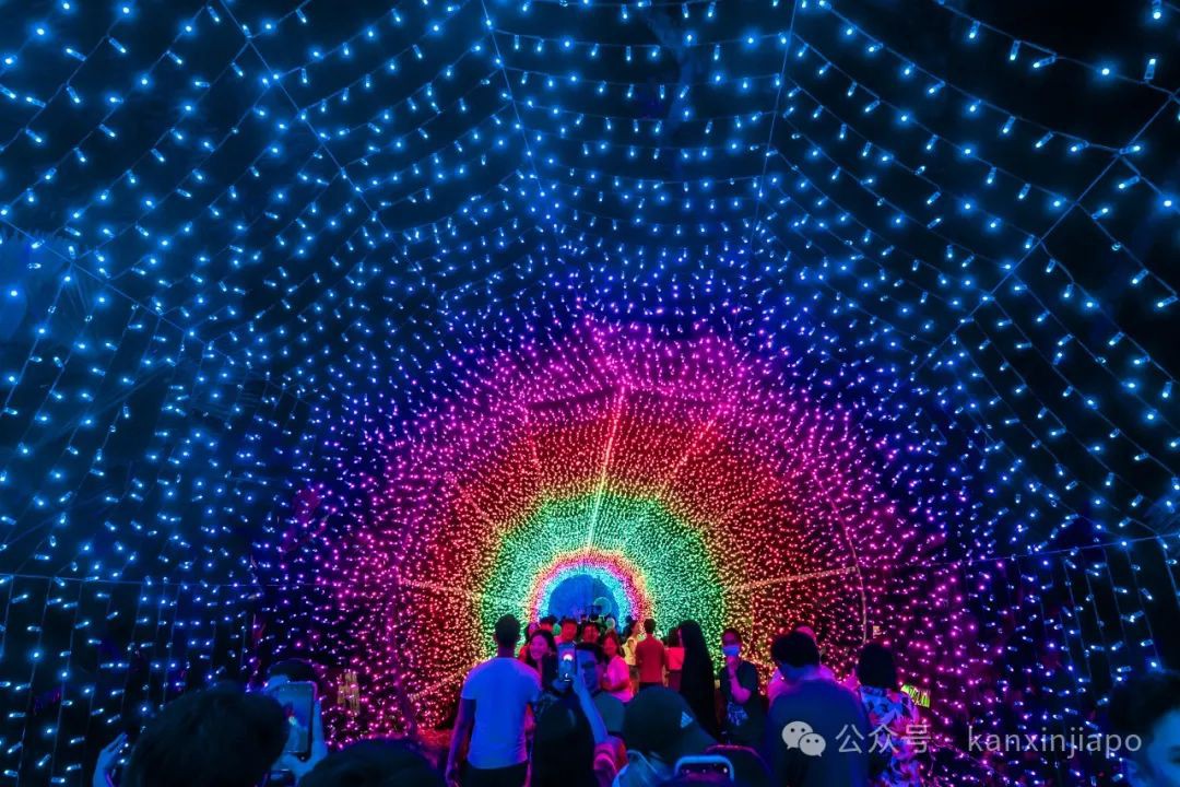滨海湾花园2024圣诞仙境打卡全攻略!