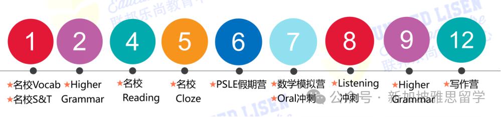 PSLE分值明年大改革!洞悉趋势,助力2025备考之路