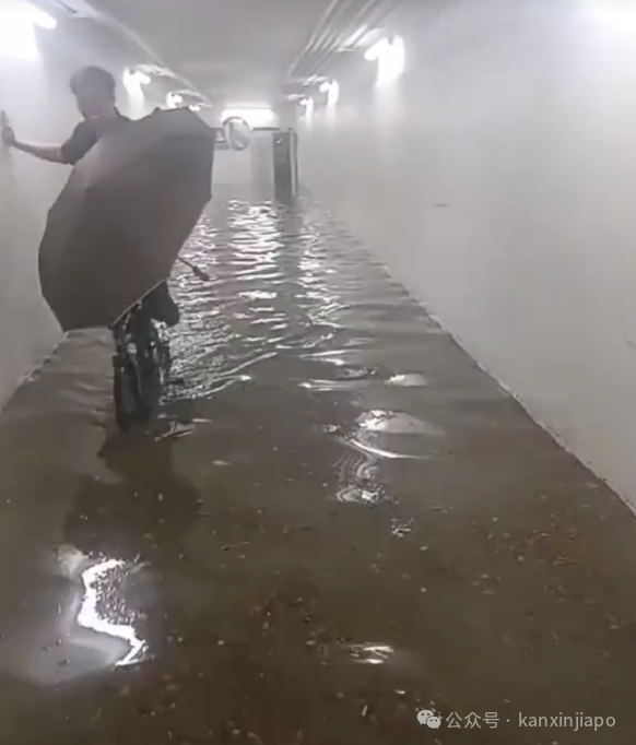 新加坡降雨量创46年新高,多地淹水!接下来两周雷雨将更加频繁