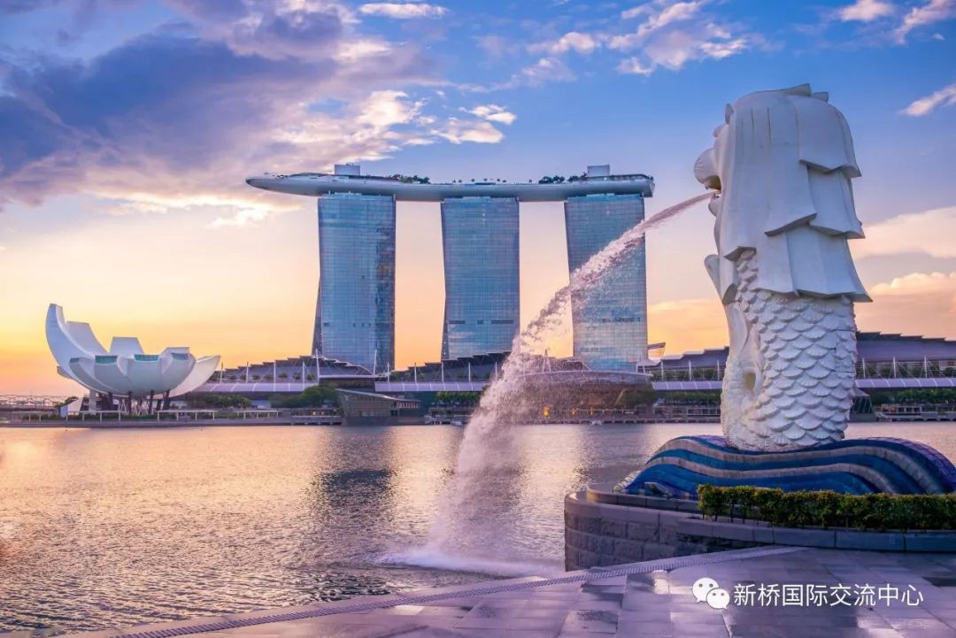 “想通过工作准证拿新加坡PR？EP或SP我有得选吗？”