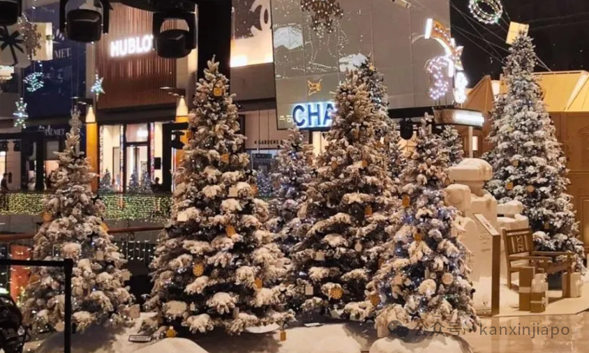 Dior、香奈儿、YSL... 来新加坡打卡奢侈品牌的圣诞树