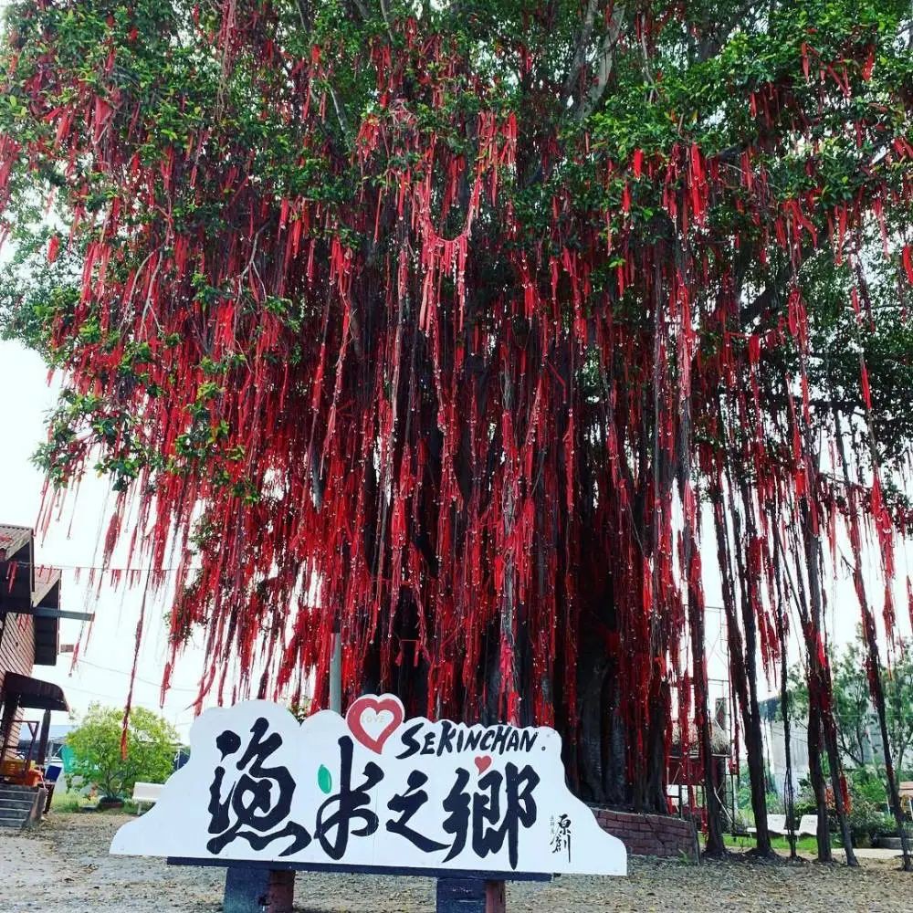 骑马、瀑布、天空之境...盘点5个适合周末游玩的马来西亚小镇