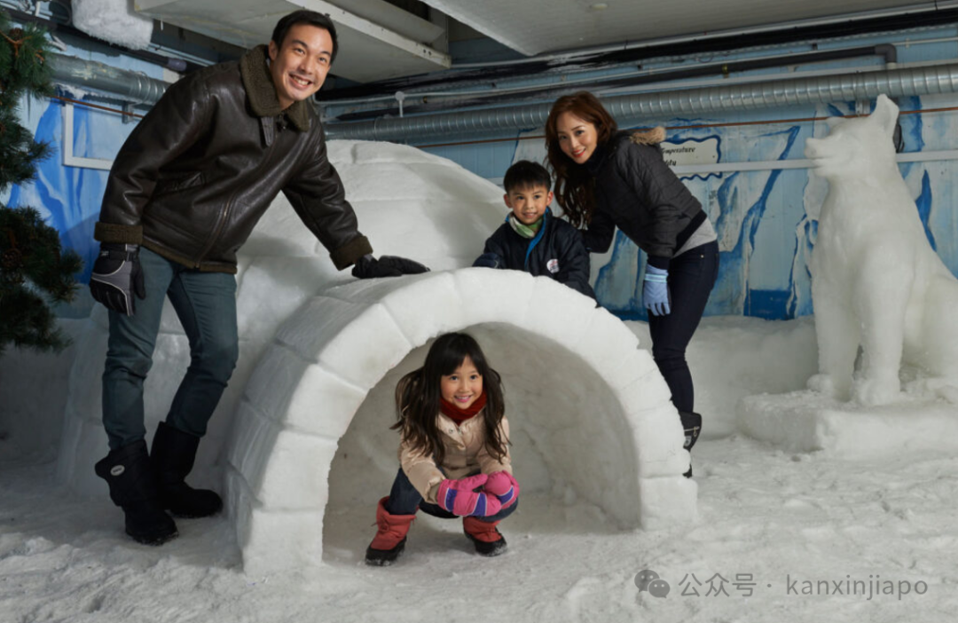 今年圣诞12个地方可以“看雪”,大部分免费,绝对不能错过!