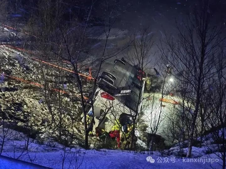 突发!3死11伤,巴士侧翻坠湖,载有来自中国和新加坡等8国游客