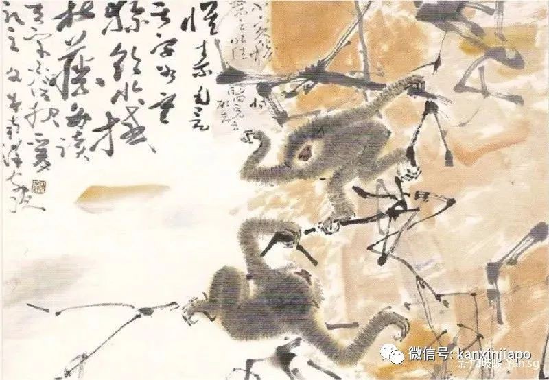 跟着新元大钞,打卡新加坡美景~