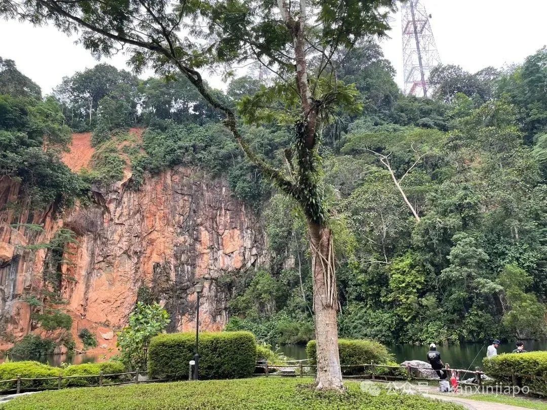 乌节路不同建筑风格的购物中心，像极了东西方文化的缩影
