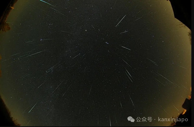 【下周活动】跨年音乐会门票免费送!双子座流星雨、宝可梦水上大探险、免费喝龙啤