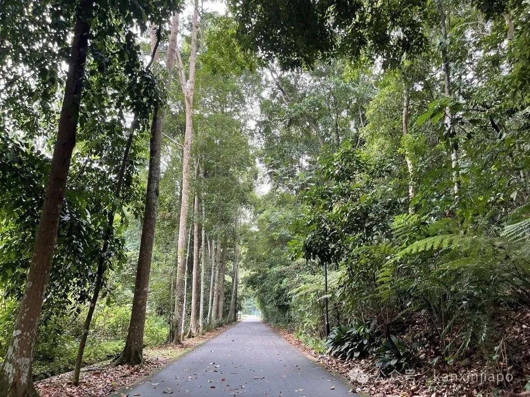 乌节路不同建筑风格的购物中心，像极了东西方文化的缩影