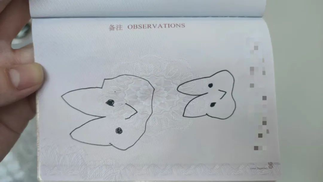 回中国入境被阻，只因对护照做了这件事...