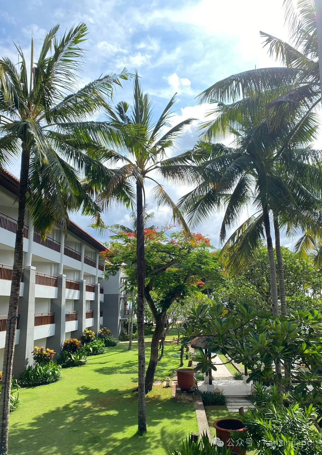 从新加坡去峇厘岛，订酒店、落地签、买手机卡等琐事真