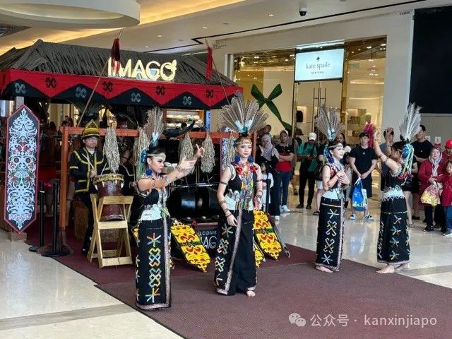 从新加坡去亚庇两日游,有哪些好玩的