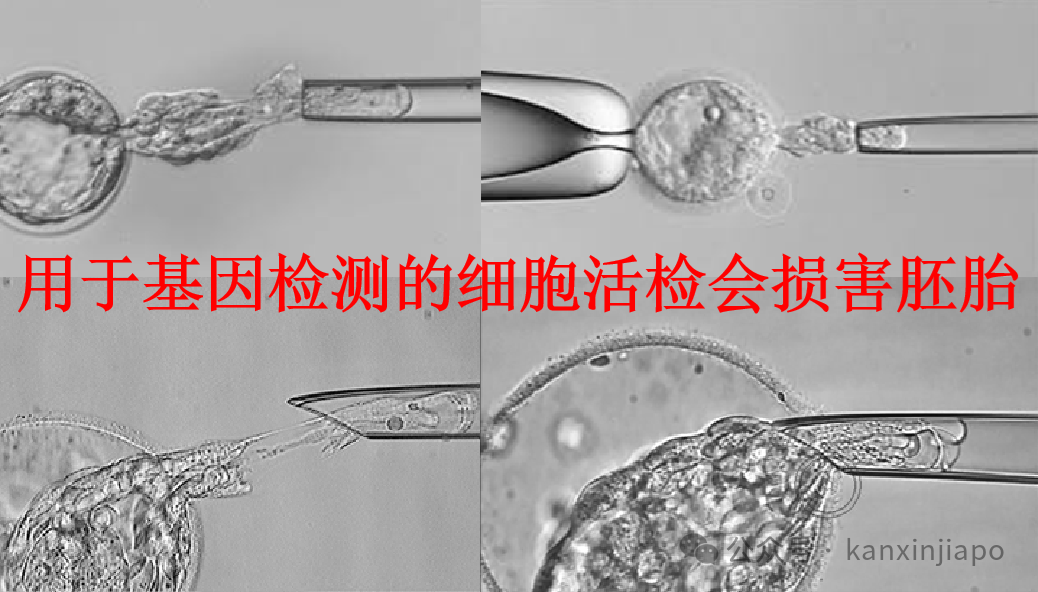 第三代试管婴儿治疗,新加坡不孕不育夫妻的一场昂贵、冒险和不必要的赌博?