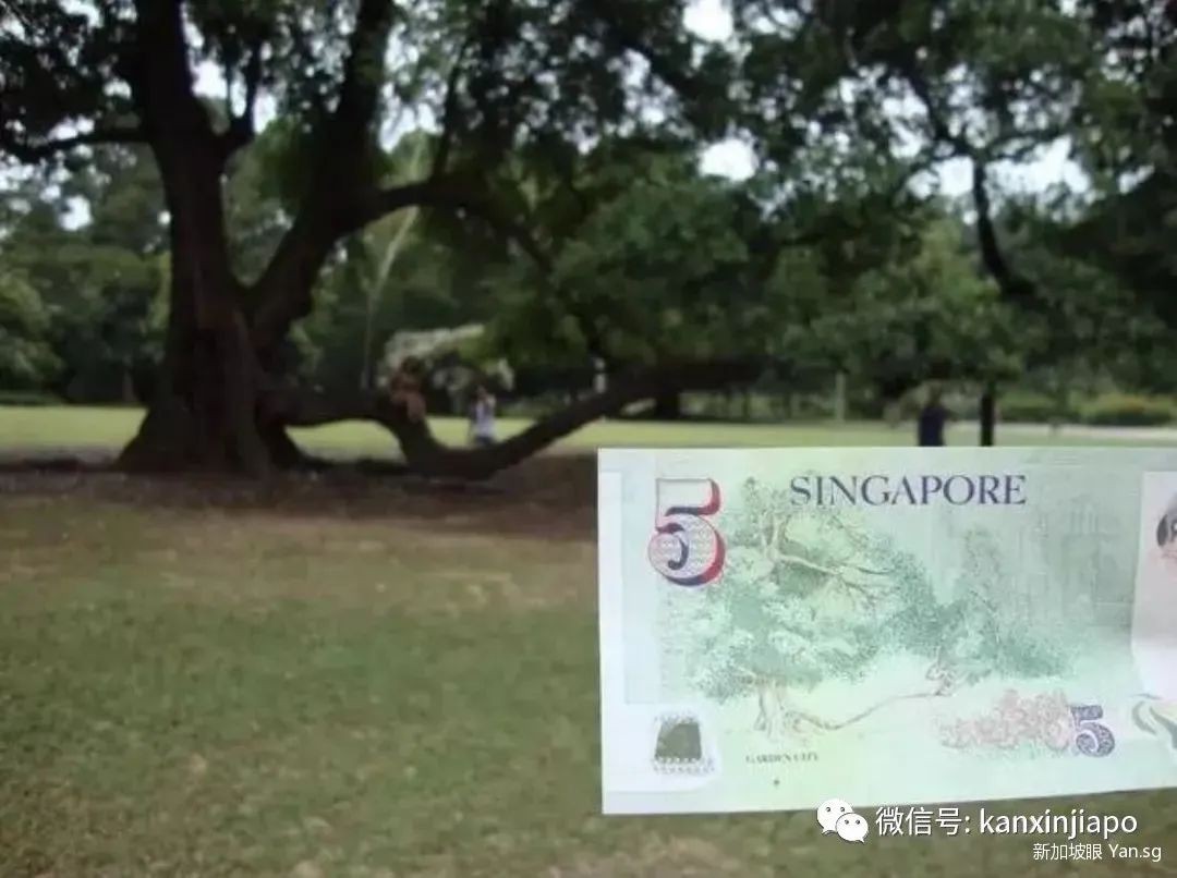 跟着新元大钞,打卡新加坡美景~